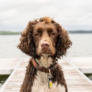 Meet your Posher, Dana